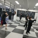 구리시체육관 | 구리체육관 신규 복싱 체육관에서의 첫 경험