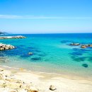 망양리 대게공원 이미지