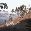 [임도+싱글 코스] 서산 팔봉산 이미지