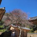 달래농장 이미지