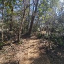 서귀포자연휴양림 이미지