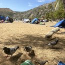 모쿠민박 | ✈️ 25年 10月 하와이 (1)