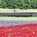 맨드라미농장 이미지