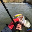 아폴로 스테이 이미지