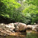 장척계곡가든 이미지