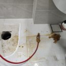 최종변기 이미지