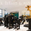 담빛필라테스