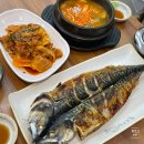 털보고된이 광교점