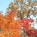 한솥도시락(곤지암점) | 서울 드라이브코스, 당일치기여행 ♪ 곤지암화담숲