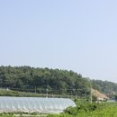 최용순농장 네이버블로그
