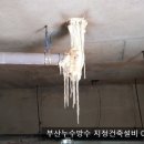 동온아쿠아 네이버블로그