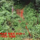 곡성-133 이미지