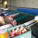 수지농장 이미지