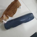 케이심바이오