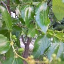 시골반찬 이미지