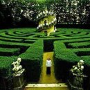 미로정원 이미지