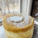 블리오