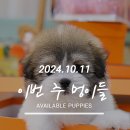 (주)멍이사랑 이미지