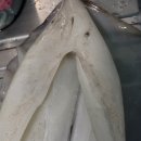 원전펜션 이미지