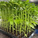 미건농약사 이미지