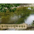 밤골야영장 | 강원도 글램핑 캠핑장 추천 별이빛나는밤에 글램핑 깨끗하고 조용한 힐링 공간