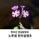 한라샘 이미지