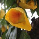 월랑농장 이미지