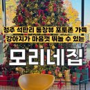 애견미용카페 보름별 | [청주] 석판리 N년 째 이용중인 대형 애견카페 &amp; 미용, 모리네집(MORI HOUSE)