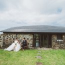 눈먼고래 이미지