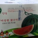 어상천우체국 | 단양 어상천 꿀수박