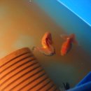황토탕 - 영도구 청학남로 6 | 황토탕