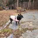 목포제일주유소 이미지