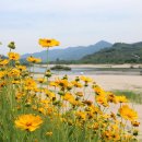 성북동-861 이미지