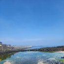 리더스여행사주 | 제주3박4일 셋째날🏝 펭귄잠수함 / 점보빌리지 / 스타빌 수영장 바베큐 별자리
