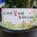 늘푸른농원 이미지