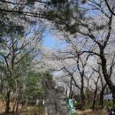 싹터나는 아침 이미지