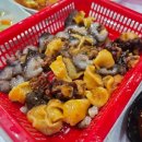 걸구네횟집 - 삼척시 남양안길 32 | 백반기행 삼척 물회 물꼬기 김미려