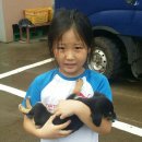 성읍리-9 이미지