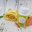 신진정비 | 변비 영양제 장내 환경 재정비