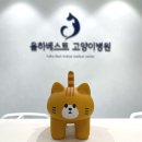 베스트고양이병원 이미지