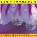 탑선주유소