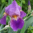 고운농장 이미지