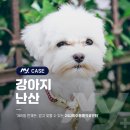 풍산동물병원 이미지