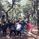 모라산림공원 이미지