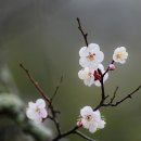 수리산도립공원 납덕골 이미지