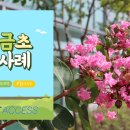 개야도초등학교 이미지