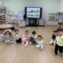 고신농장 Daum카페
