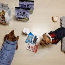 신나는 날 이미지