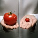 한들식품 이미지