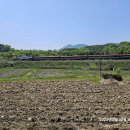 보령농장 이미지